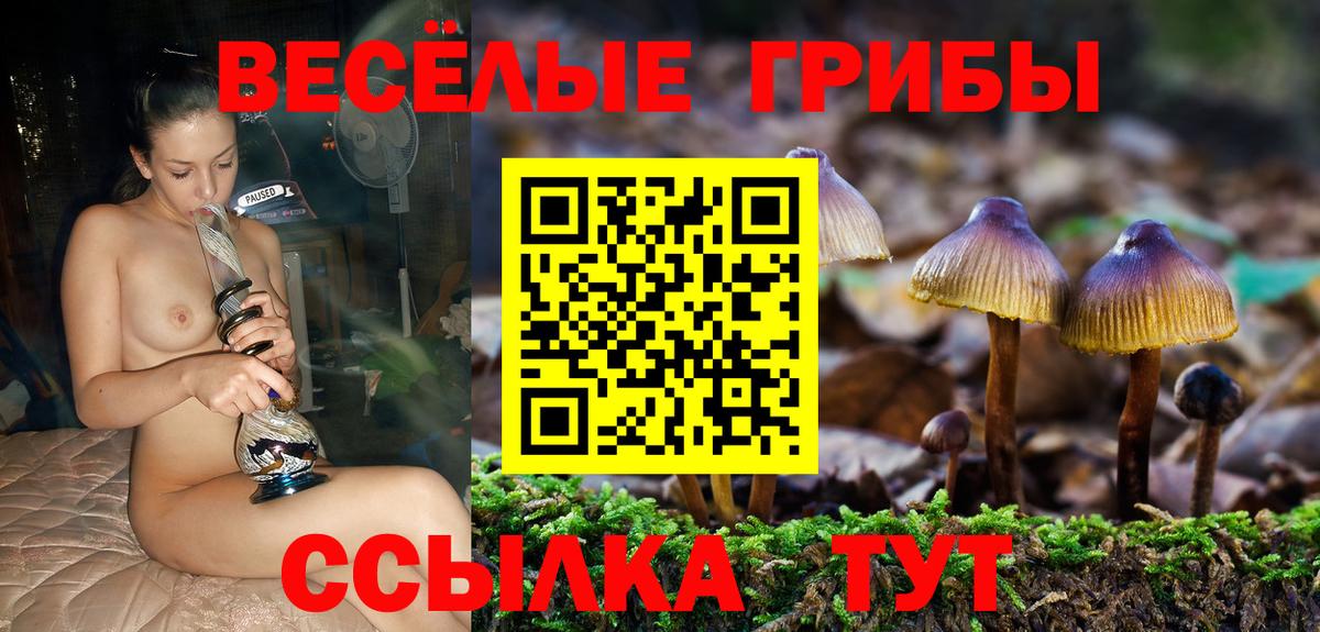 как найти наркотики  Псилоцибиновые грибы Psilocybe  Вход с VPN  Узловая 